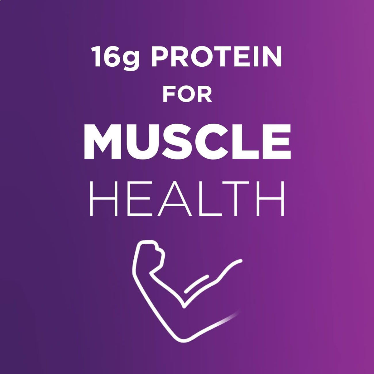 High Protein Milk Chocolate Nutrition Shake 16g Protein 24 Pack E541569