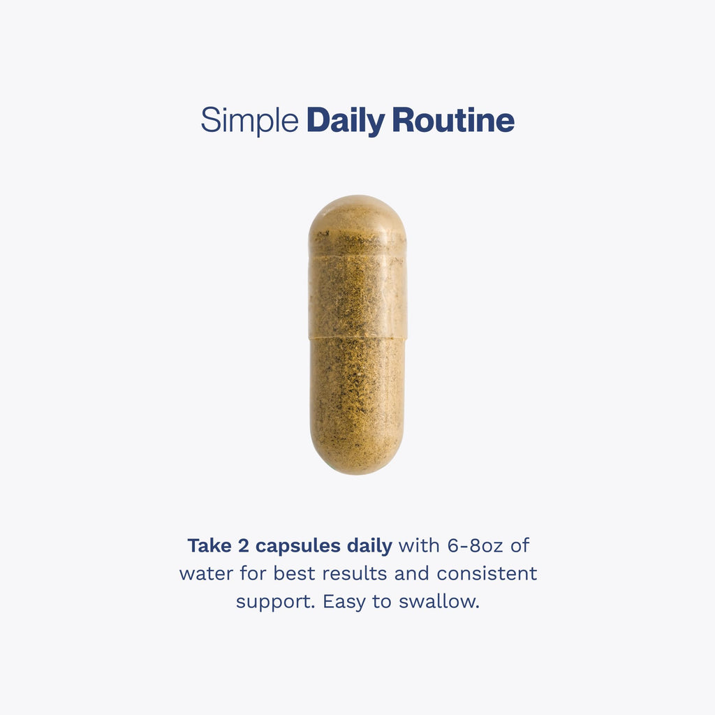 60 Capsules Prostate Support B3728