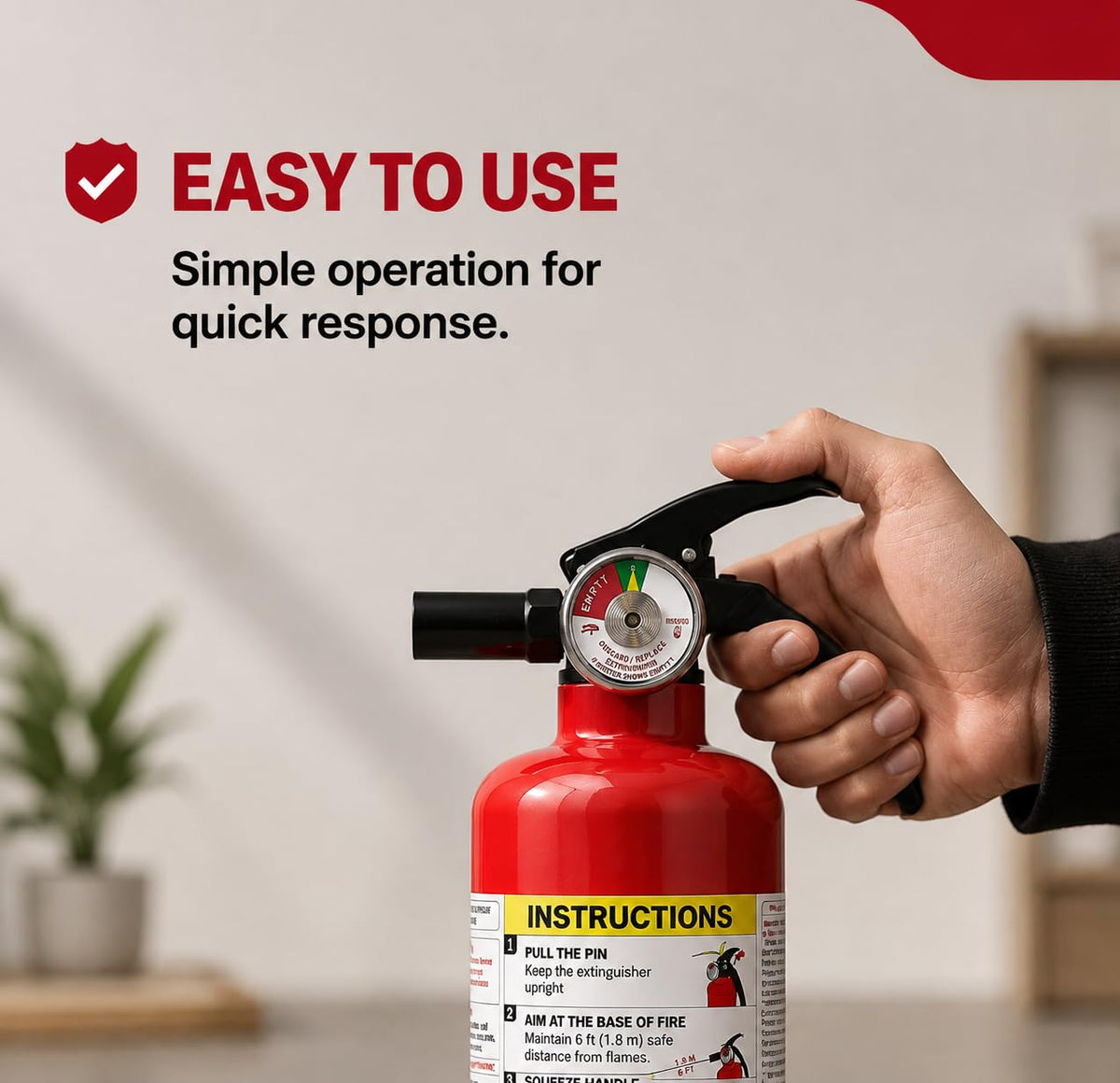 2.5 lb Dry Chemical ABC Fire Extinguisher P813