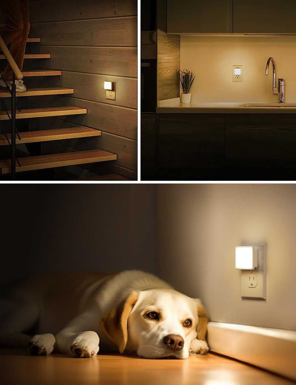 0.3W Plug in Night Lights 2-Pack M324498