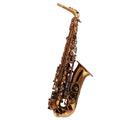 Champagne Golden Alto Saxophone Set F22492