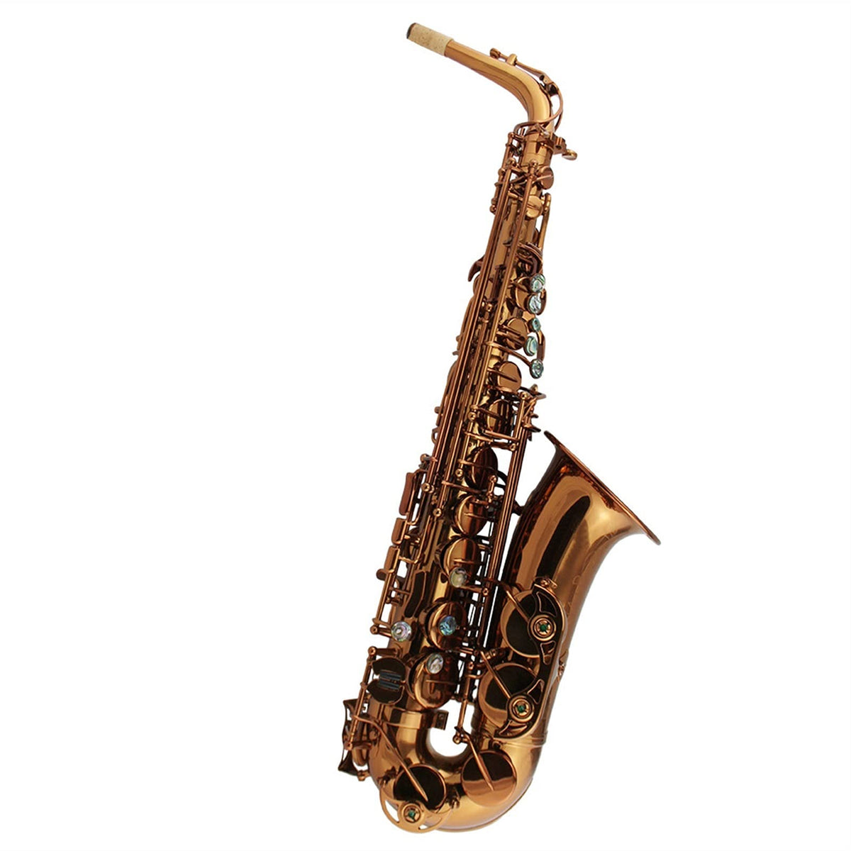 Champagne Golden Alto Saxophone Set F22492