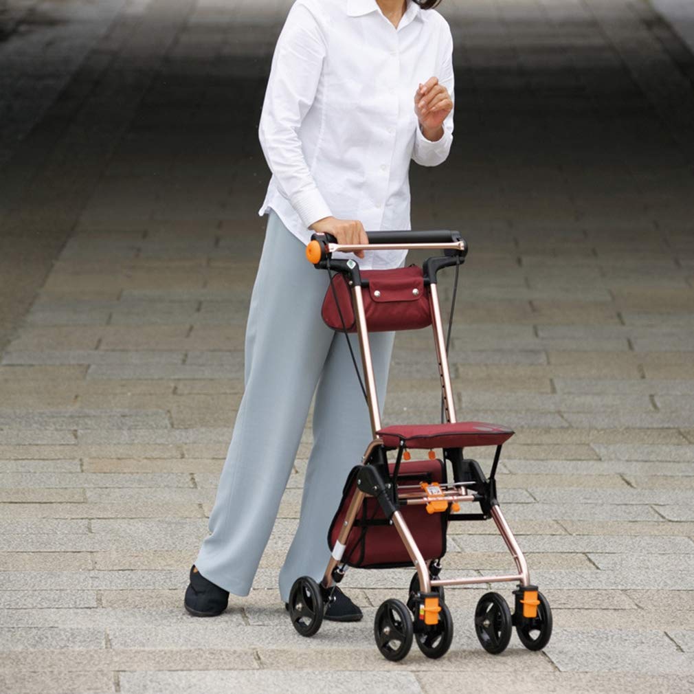 4 Wheels Foldable Rollator Walker with Seat R216