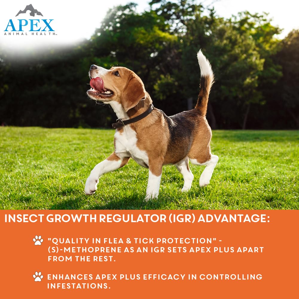Flea & Tick Prevention for Small Dogs 3-Month Supply X46065