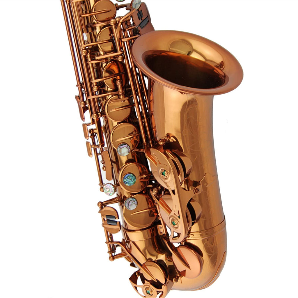 Champagne Golden Alto Saxophone Set F22492