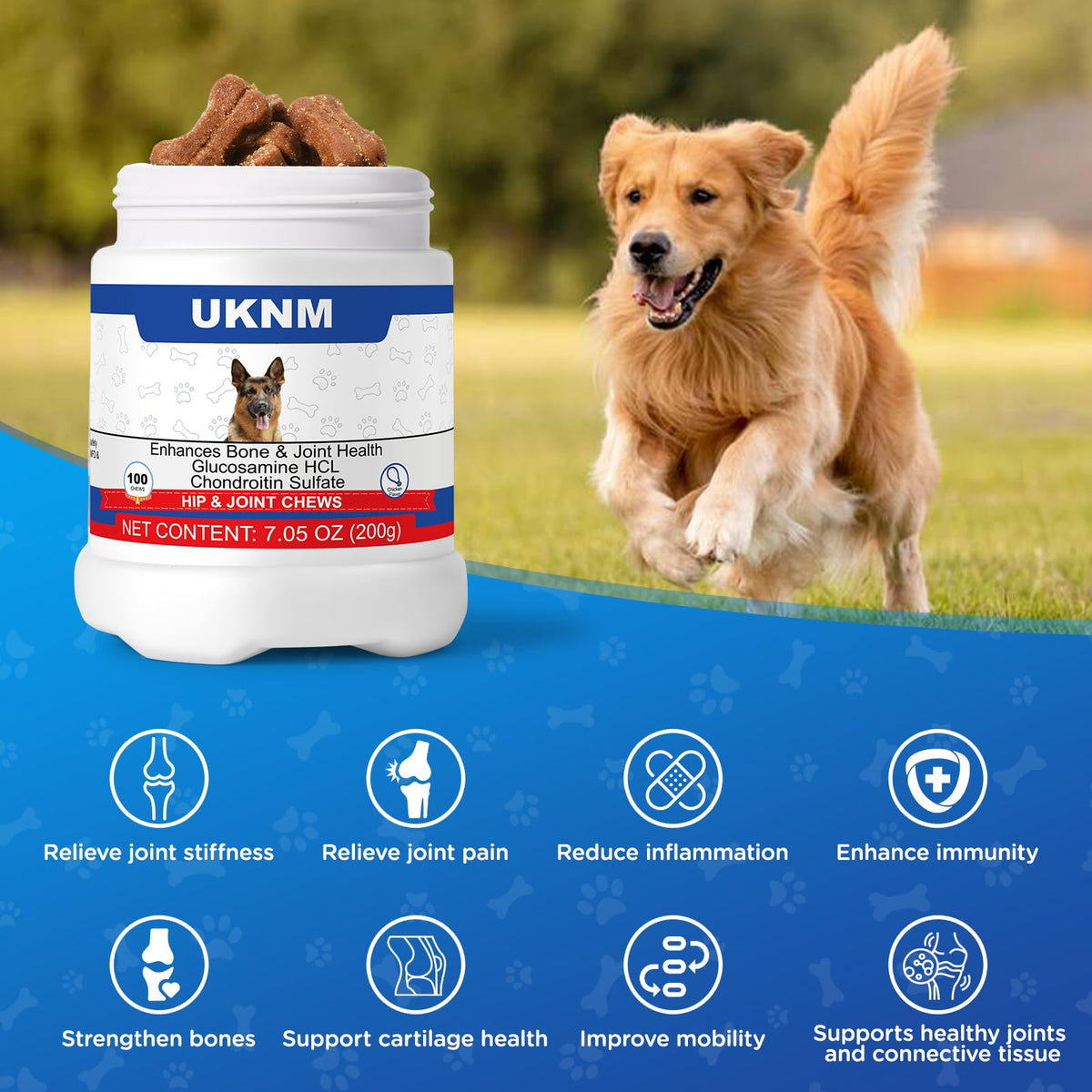 Chicken Flavor Dog Joint Support Chews G833