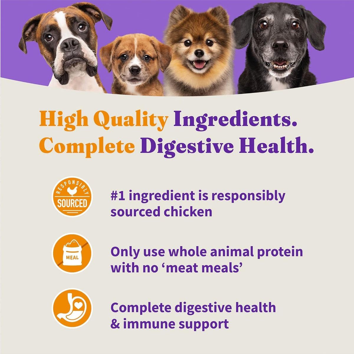 Small Breed Chicken & Brown Rice Dog Food 3.5 lb G994809