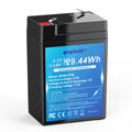 6.4V 4.6Ah LiFePO4 Battery Z172753