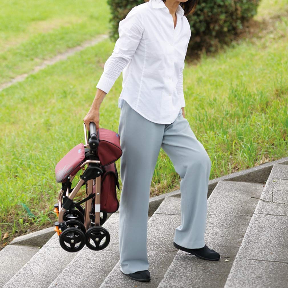 4 Wheels Foldable Rollator Walker with Seat R216
