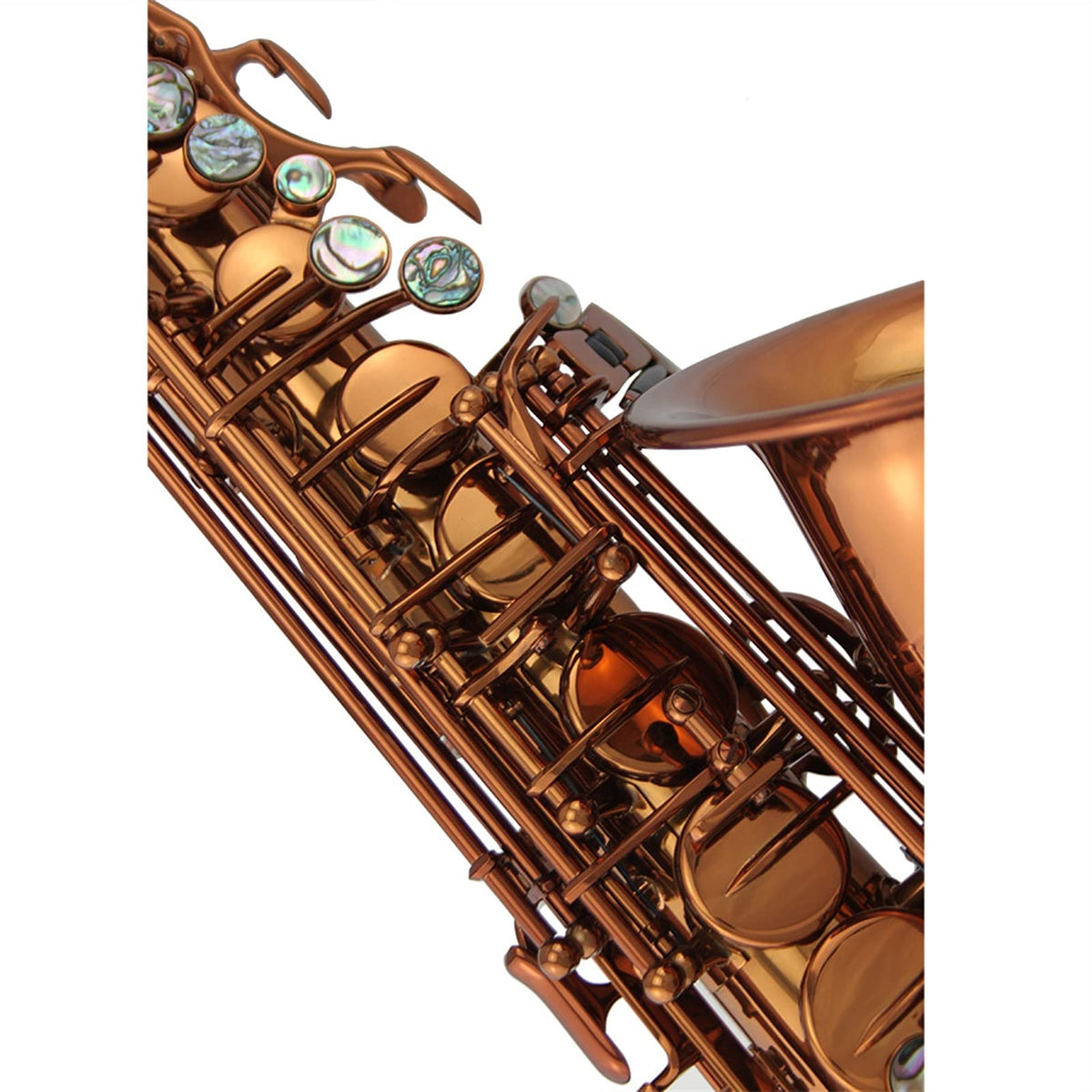 Champagne Golden Alto Saxophone Set F22492