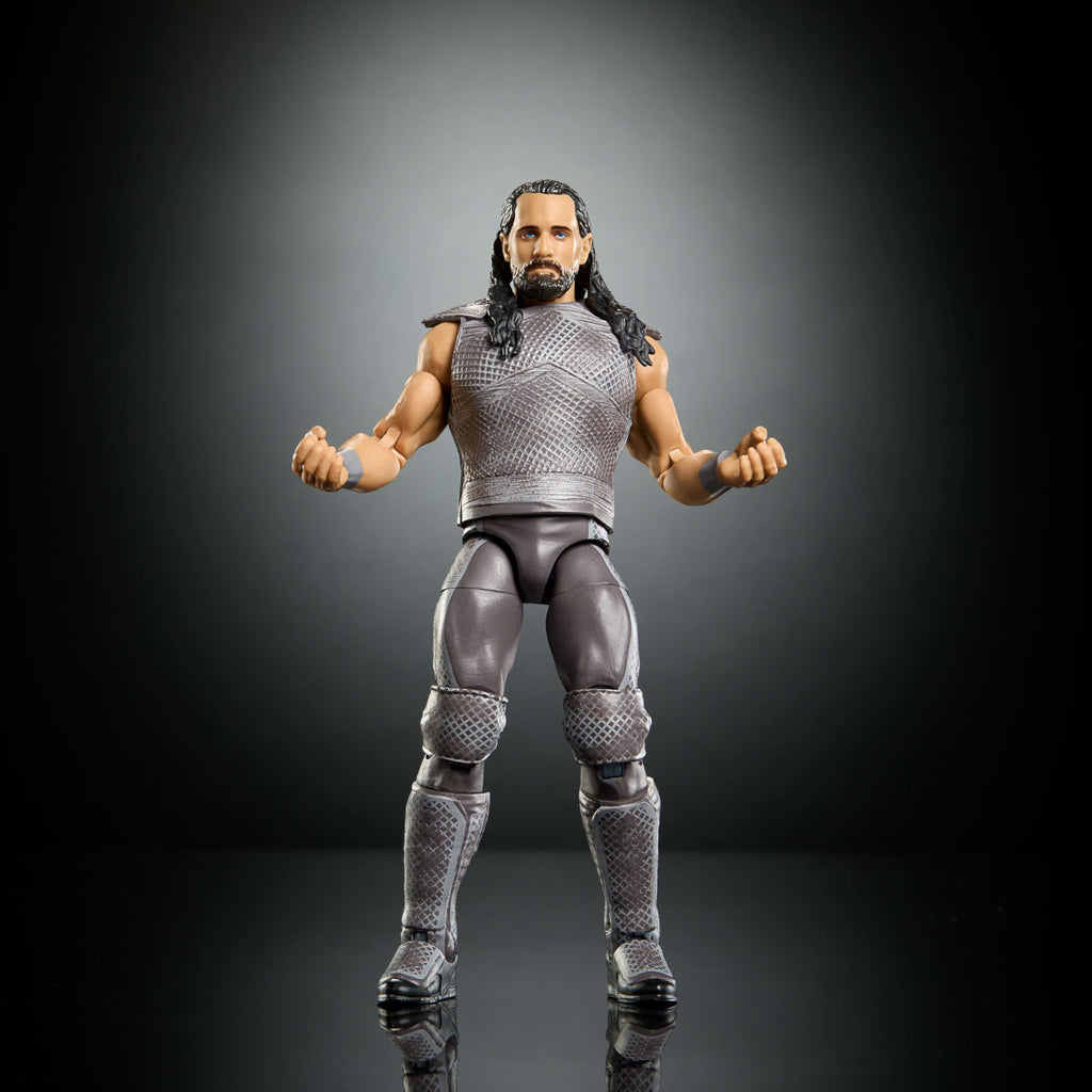WWE Action Figure & Accessories A8383