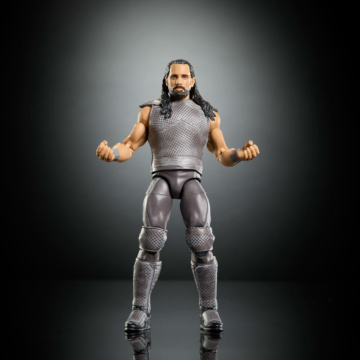 WWE Action Figure & Accessories A8383