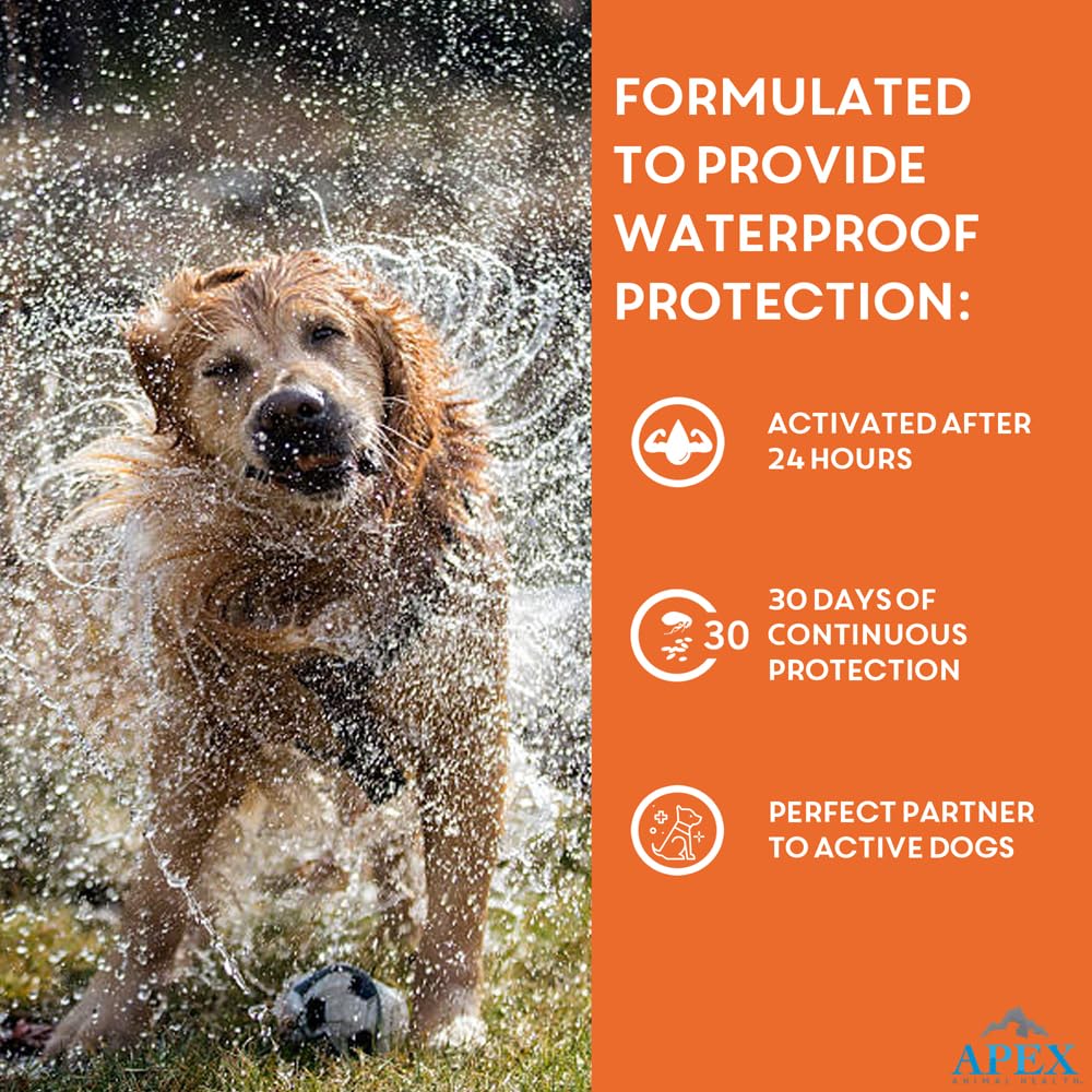 Flea & Tick Prevention for Small Dogs 3-Month Supply X46065