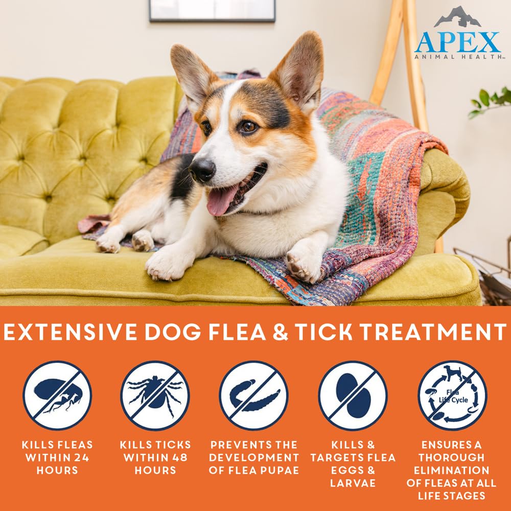 Flea & Tick Prevention for Small Dogs 3-Month Supply X46065