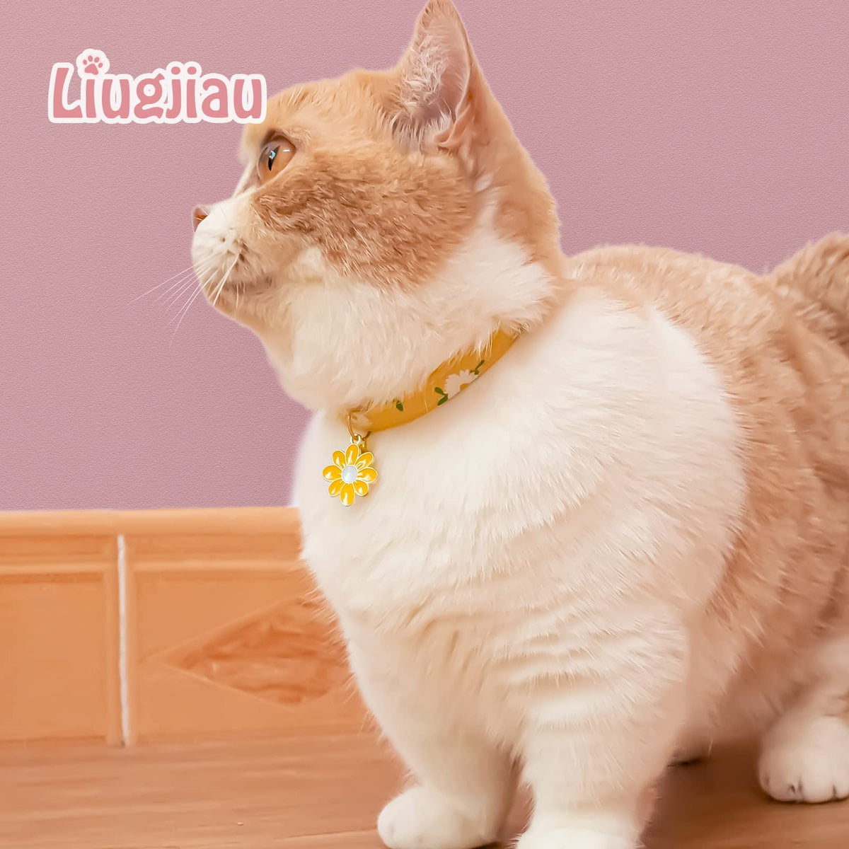 2 Pack Cotton Breakaway Cat Collar with Bell S66089