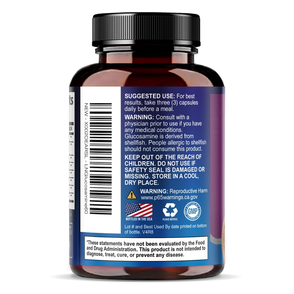 Glucosamine Chondroitin MSM Turmeric Boswellia 60 Capsules S512