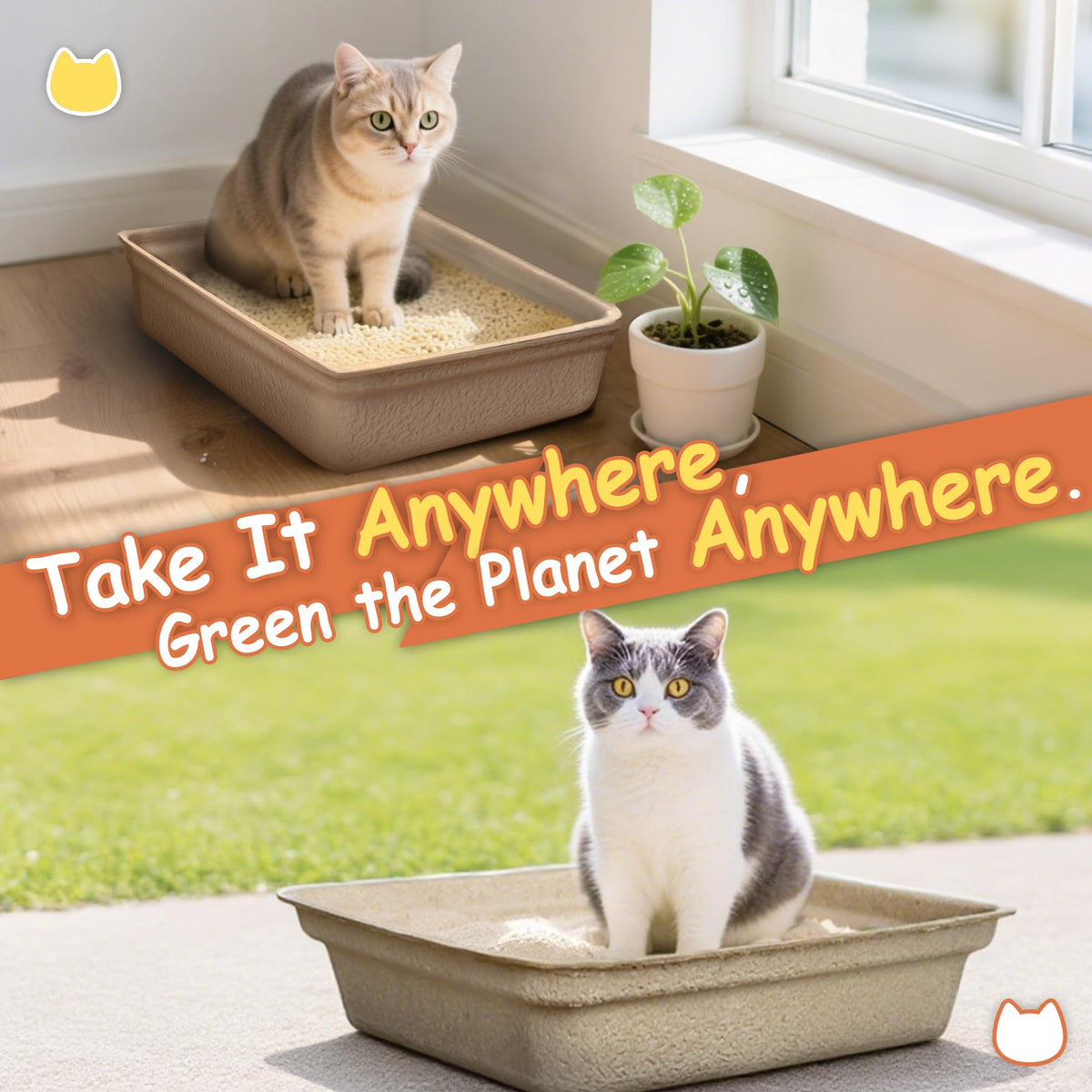 Disposable Litter Boxes for Cats D565798