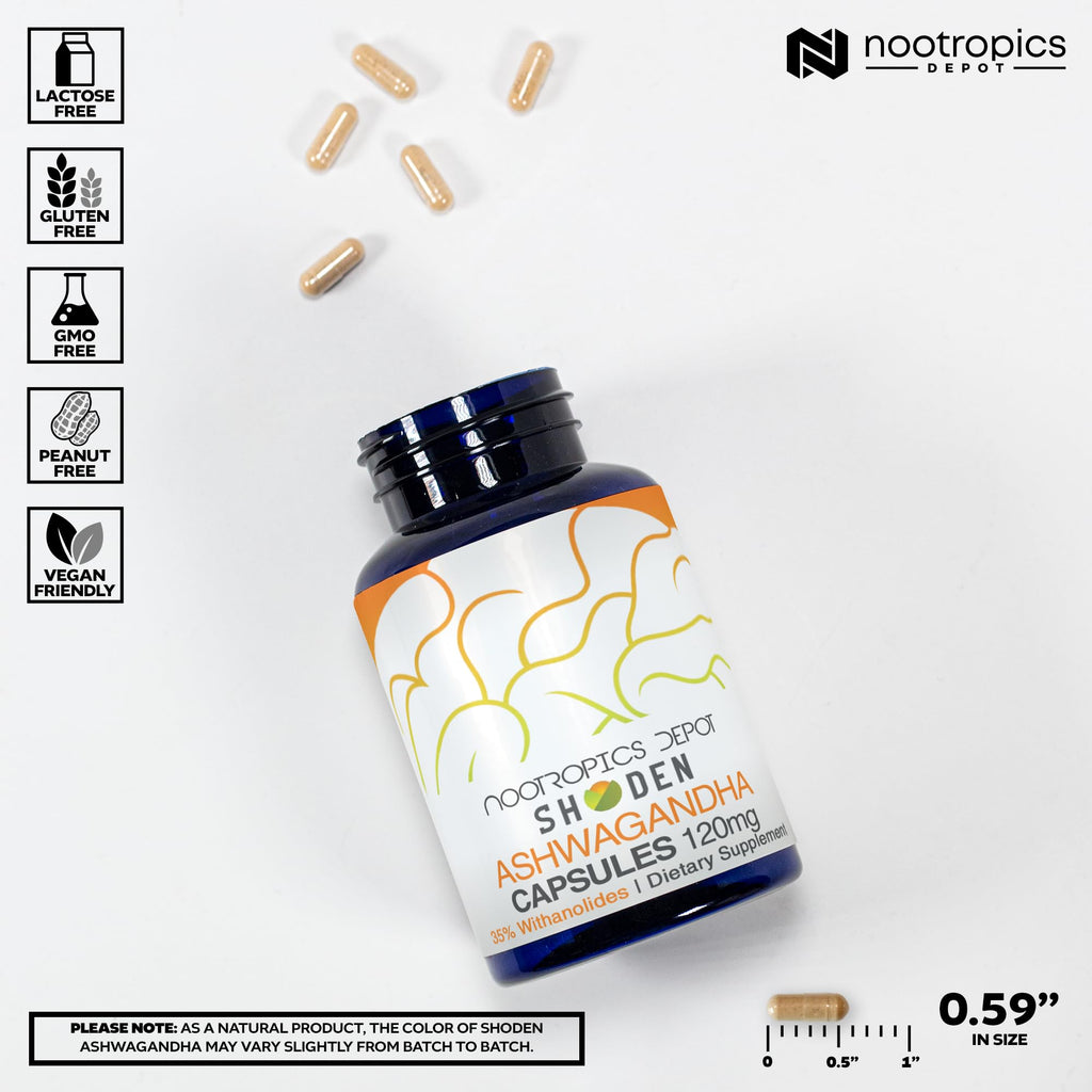 Ashwagandha Extract Capsules 120mg 30 Count R911846