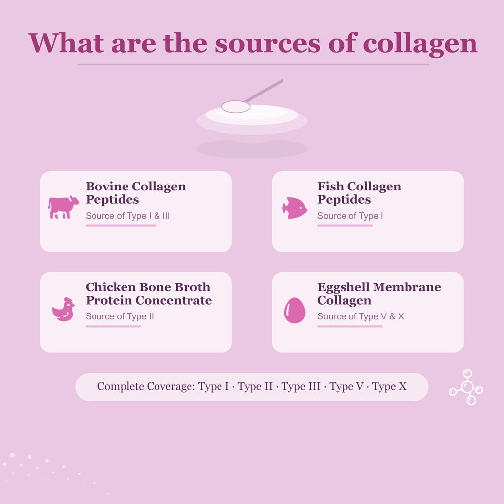 Unflavored Multi Collagen Peptides Powder 1lb K796