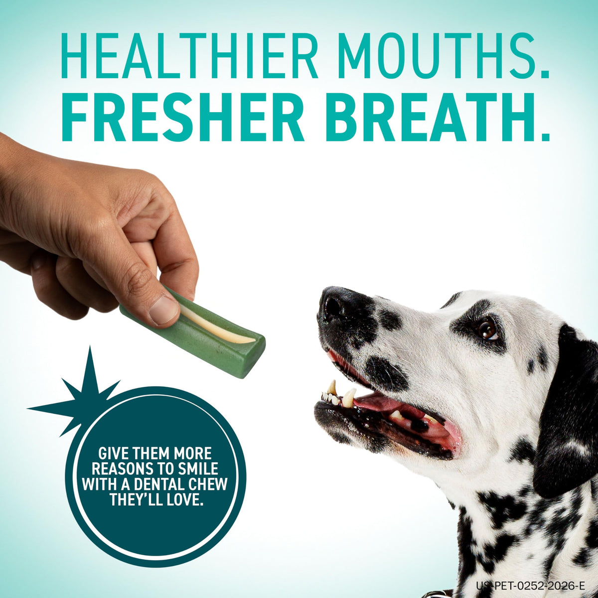 Dental Chews for Dogs 30 Count B179