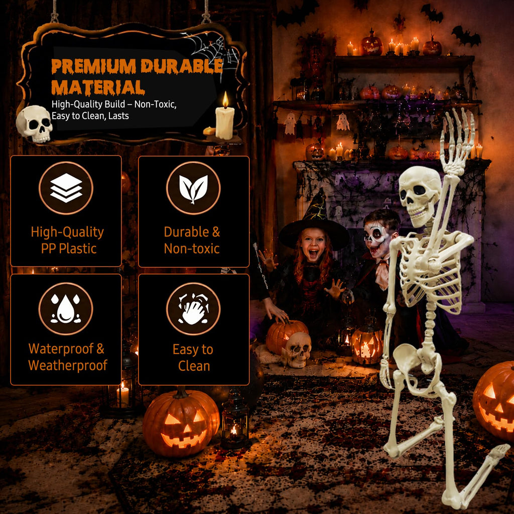 Life Size Skeleton J942
