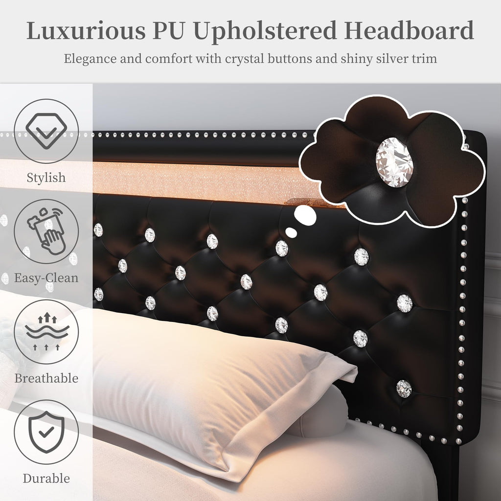 Full Platform Bed Frame with 2 Storage Drawers, Black B215146
