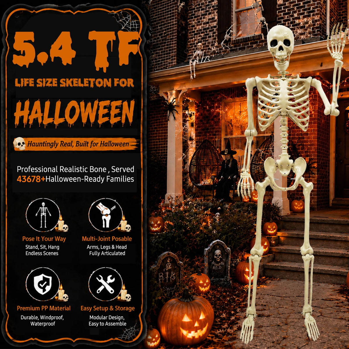 Life Size Skeleton J942