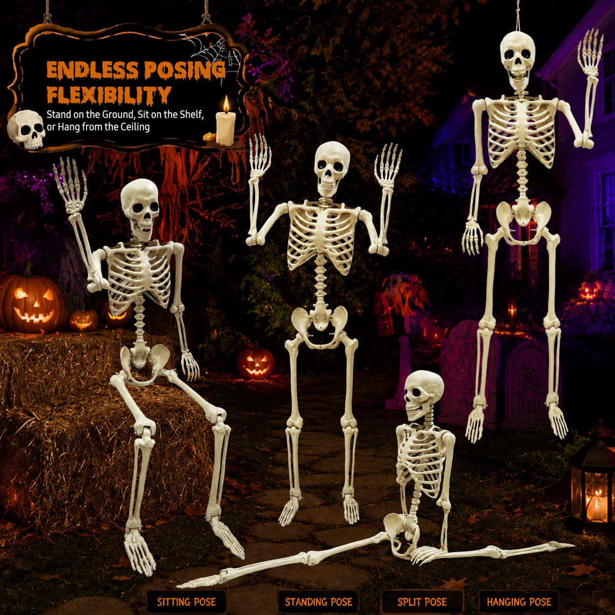 Life Size Skeleton J942