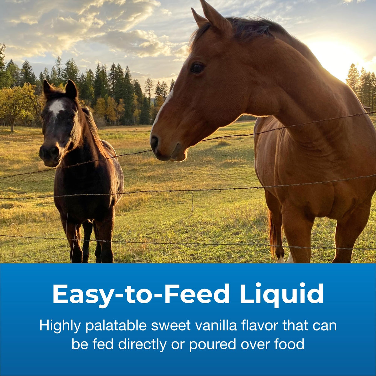 High Calorie Liquid Nutritional Supplement for Livestock 1 Gallon X400