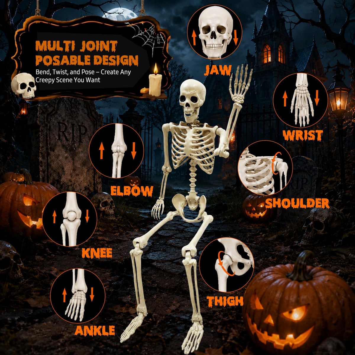 Life Size Skeleton J942