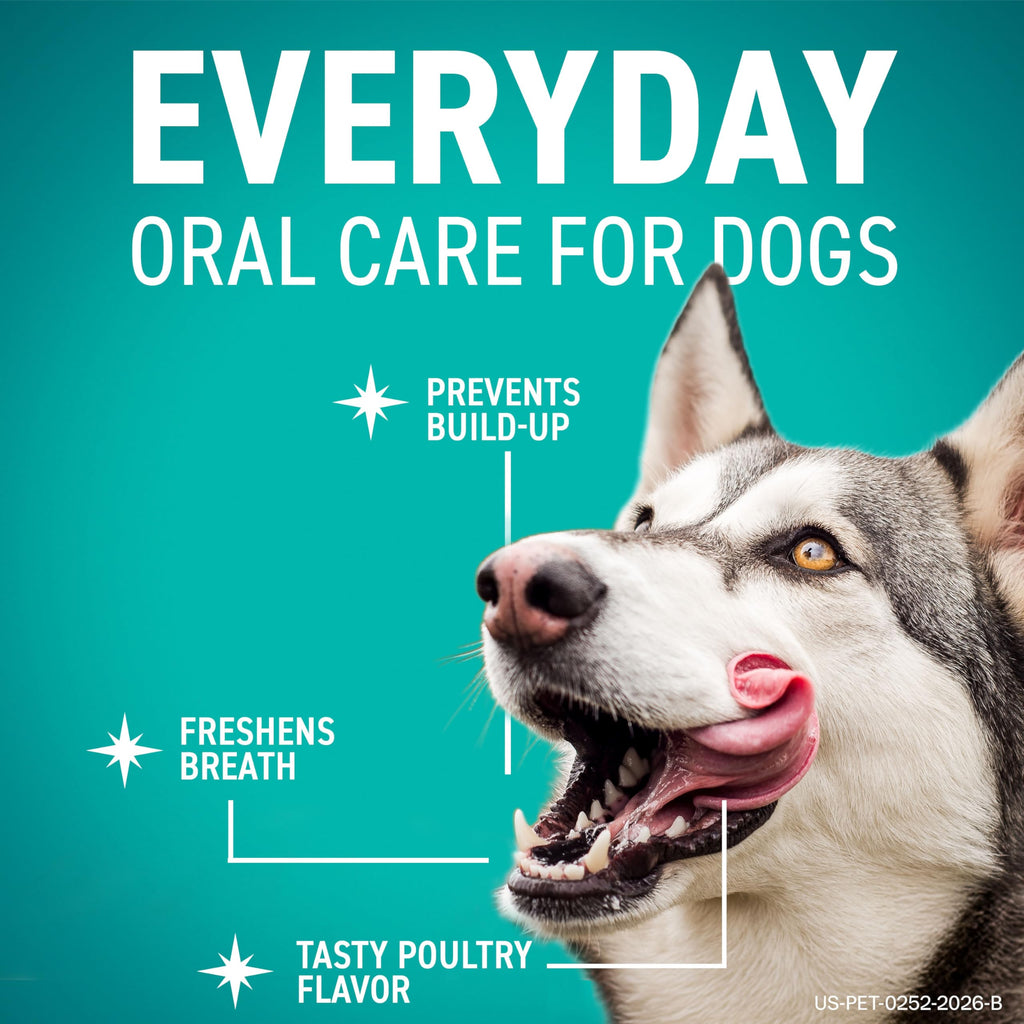 Dental Chews for Dogs 30 Count B179