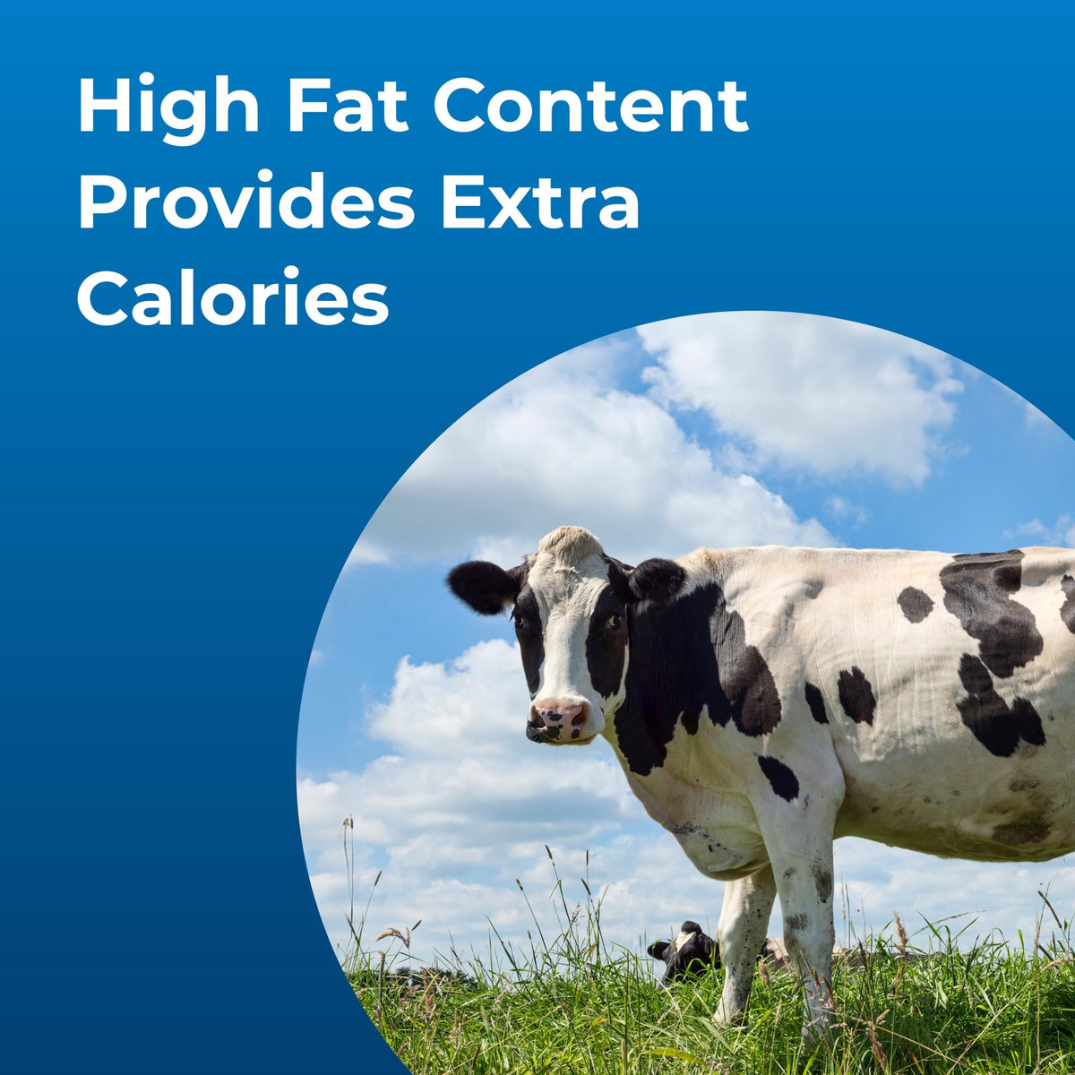 High Calorie Liquid Nutritional Supplement for Livestock 1 Gallon X400