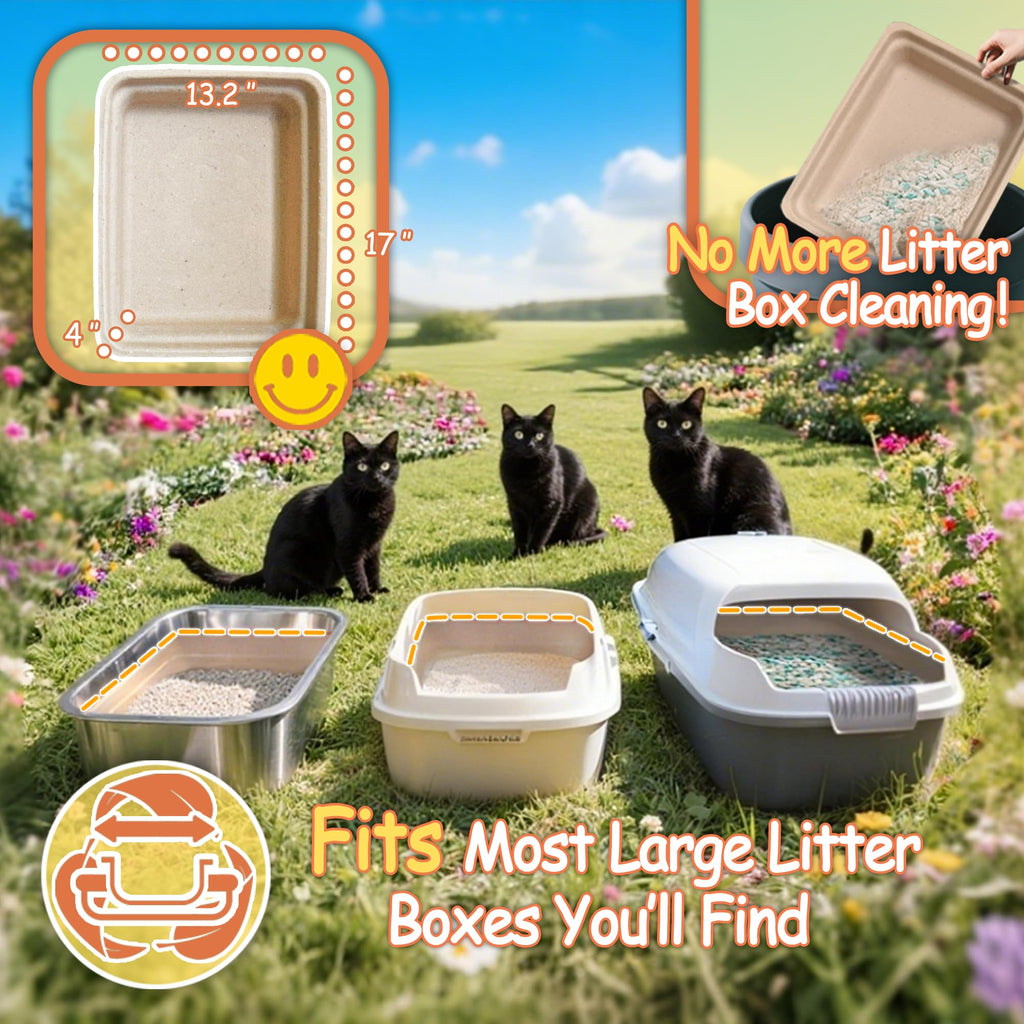Disposable Litter Boxes for Cats D565798