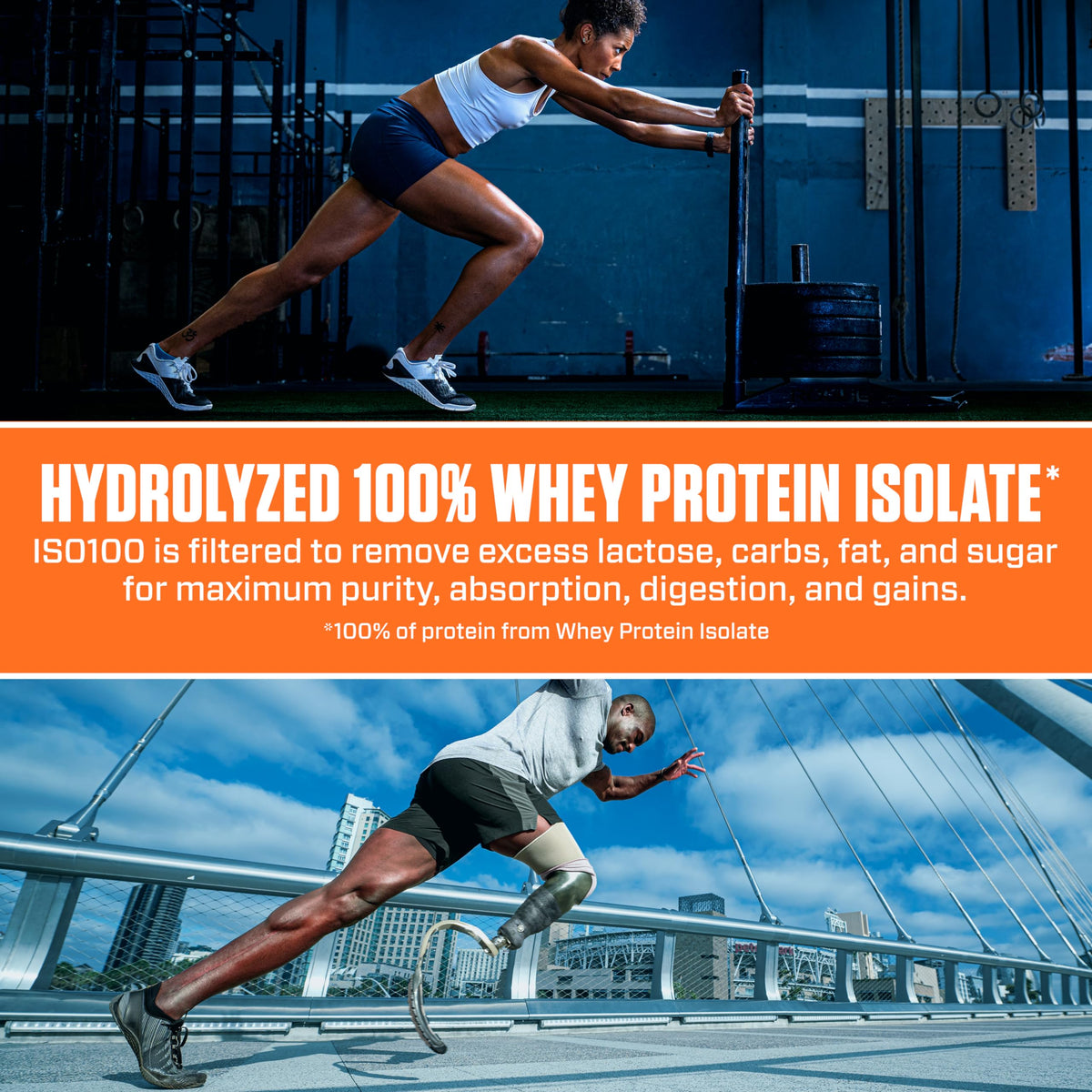 Whey Isolate Protein Powder S647341