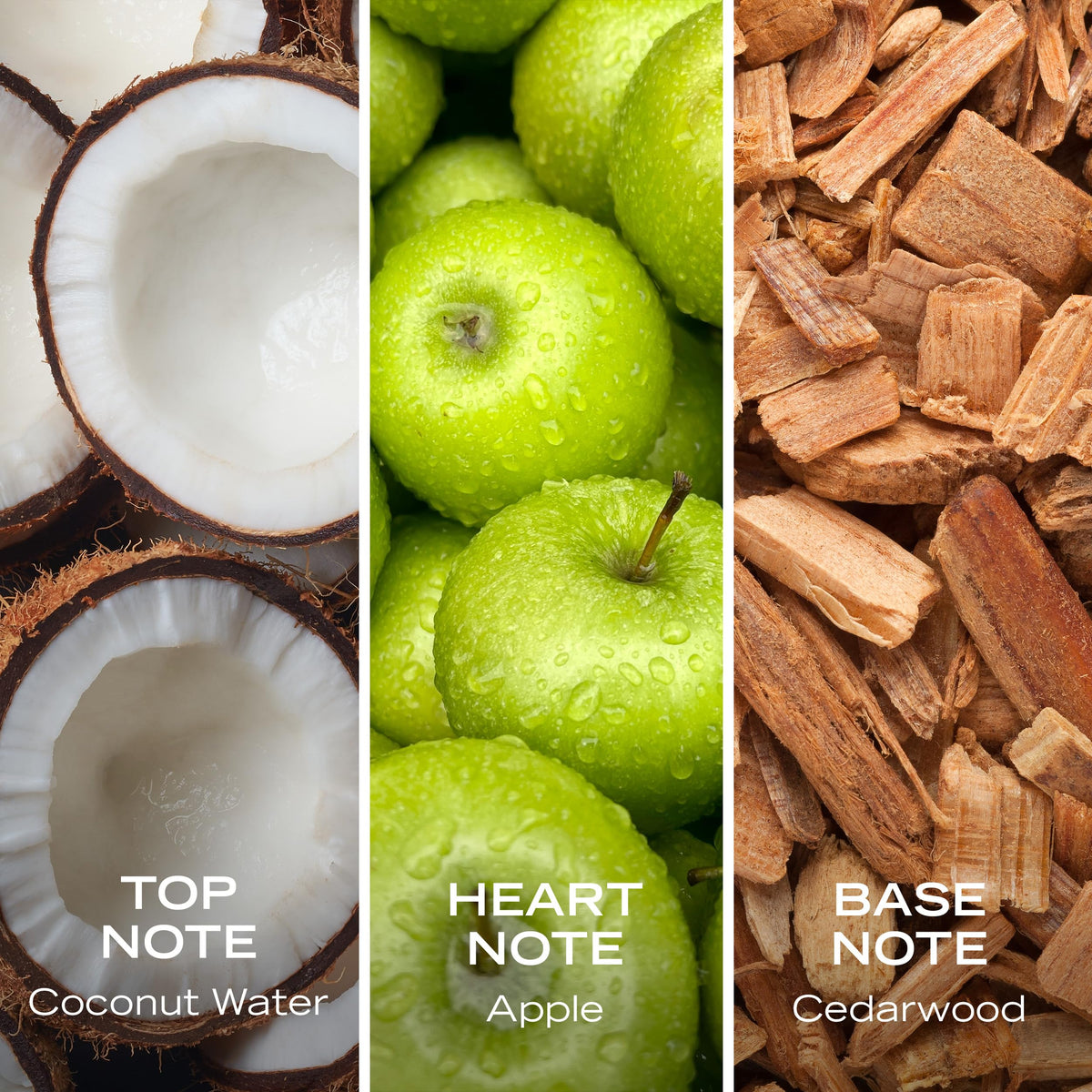 Coconut Apple Cedarwood Hair & Body Mist 8.0 fl oz V860458